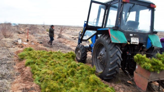 В Воронежской области тракторист наехал на 4-летнего сына