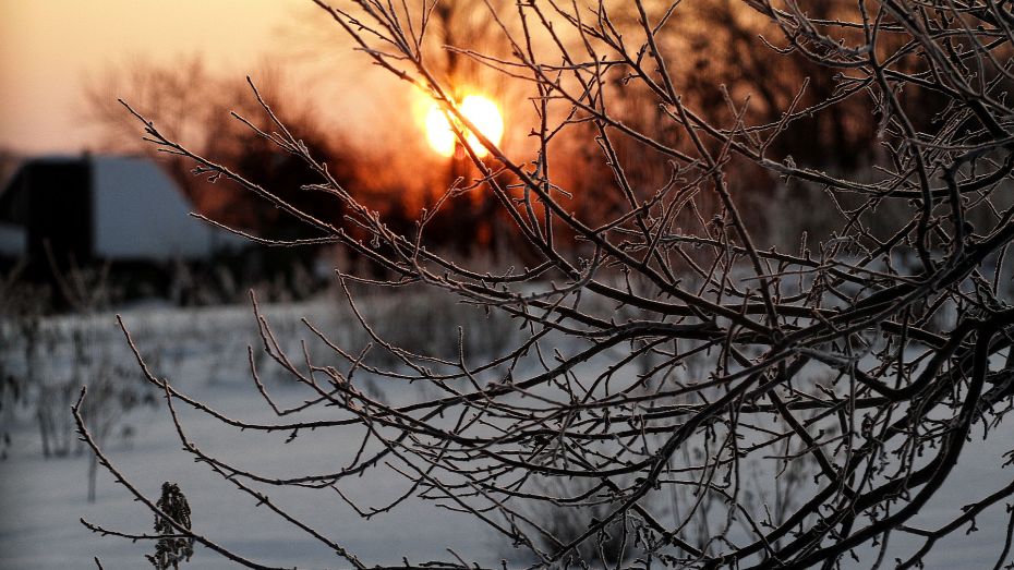 Настоящая теплая весна в Воронежской области начнется в апреле