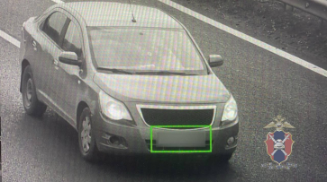 Воронежская автоледи накопила 46 неоплаченных штрафов на 75 тыс рублей