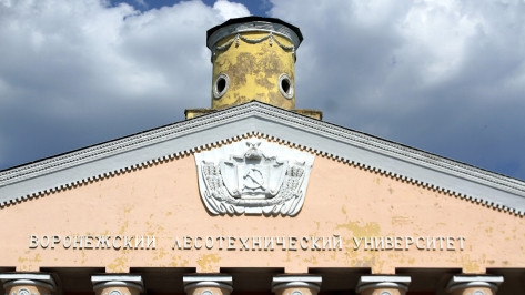 На реставрацию здания Воронежского лесотехнического университета потратят до 22 млн рублей