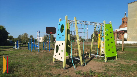 В Малой Грибановке общественники установили игровой комплекс