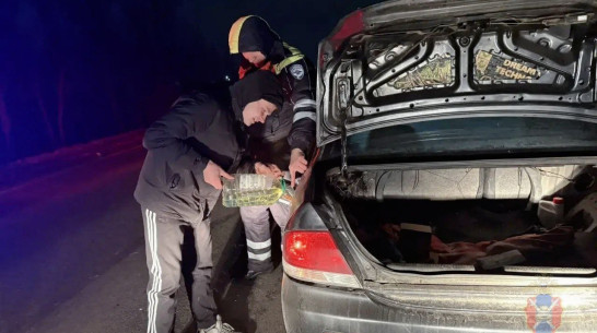 Воронежские полицейские помогли водителю, машина которого заглохла на ночной заснеженной трассе