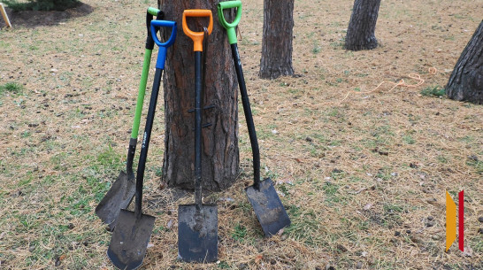 Участие в общеобластном субботнике в Воронежской области приняли более 100 тыс человек