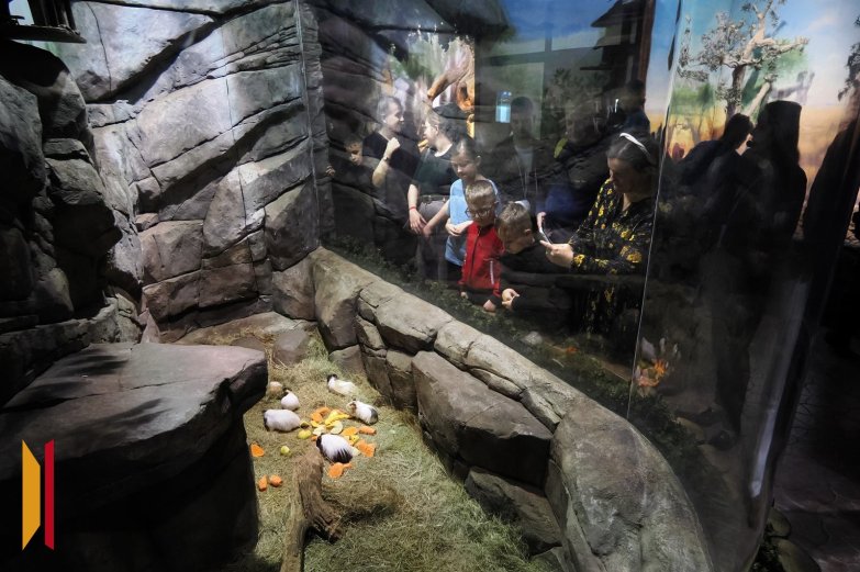 Многодетная семья 6 января