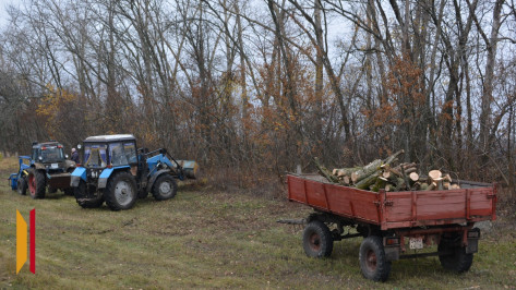 В Воробьевском районе заготовили дрова для участников СВО и их семей
