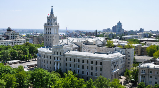 Воронежцы предложили провести в День города прием ортопедов и парад собак