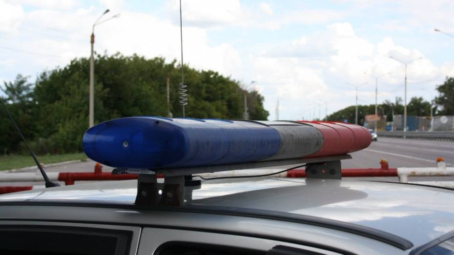 В Воронежской области пьяный водитель напал на полицейского
