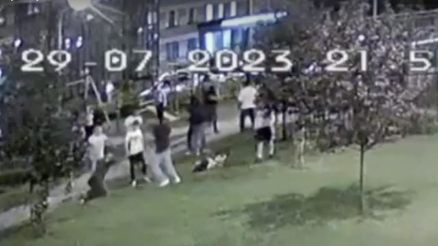 Массовая драка на левом берегу Воронежа попала на видео