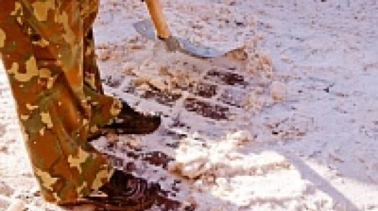 Власти Воронежа хотят поручить очистку тротуаров от снега специальной технике 