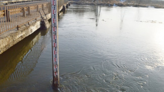 МЧС предупредило жителей Воронежской области об опасном повышении уровня воды в реке Битюг
