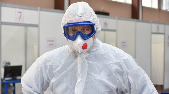 Суточная заболеваемость ковидом снизилась в Воронежской области