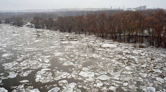 В Лисках на Дону начался ледоход