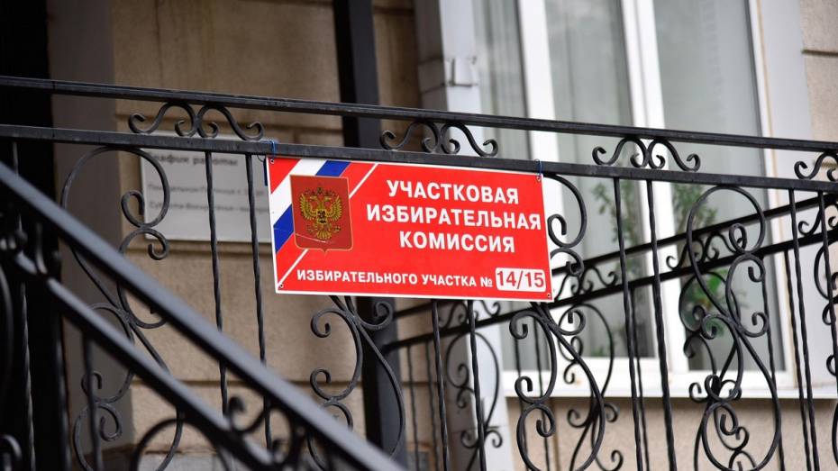 Избирательные участки в Воронеже возьмут под круглосуточную охрану