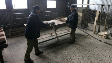 В Воронеже напавший с пистолетом на торговца парень отделался принудительными работами