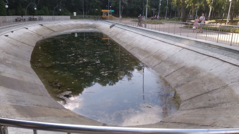Мэрия Воронежа объяснила, почему пруд в Центральном парке снова зацвел