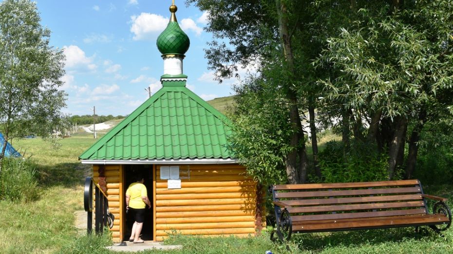 Муниципальную практику 2 сельских поселений Репьевского района признали лучшей в области