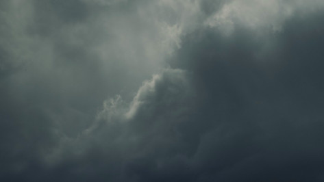 Воронежцам рассказали, где сбили 50 БПЛА в ночь на 26 июня