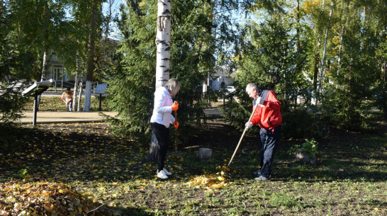 В грибановском селе Новогольелань построят сквер