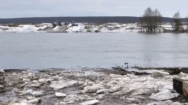 До главы СК РФ дошли жалобы жителей воронежских сел, изолированных из-за отсутствия моста