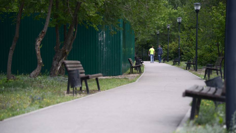  В Воронеже перепланируют участок возле сквера «Ворошилова»