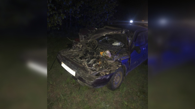 В Воронежской области ВАЗ-2110 врезался в грузовик: 47-летний водитель погиб