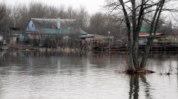В Воронежской области затоплены 6 мостов и 29 приусадебных участков