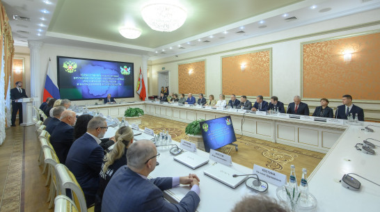 Губернатор Александр Гусев вручил награды выдающимся воронежцам в День Конституции