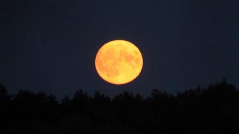 Воронежцы 7 и 8 октября смогут увидеть первое осеннее суперлуние