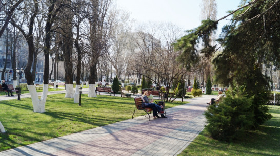 Холода в Воронежской области отступили