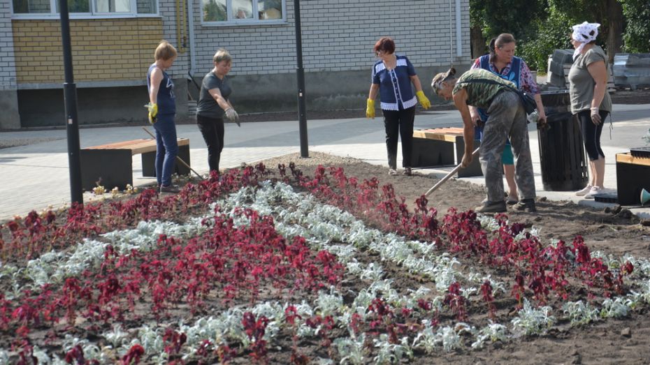 В Поворино к юбилею поселения высадили 6,3 тыс цветов