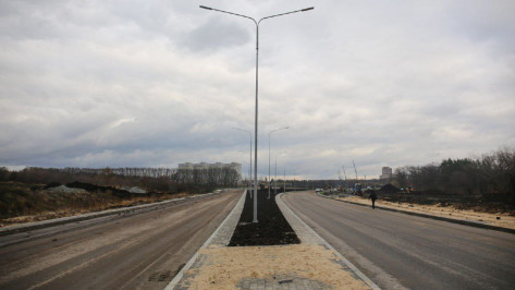 В Воронеже перенесли открытие новой дороги от Шишкова до Тимирязева из-за непогоды