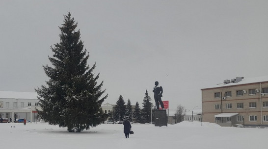 В Острогожске на центральной площади установили 18-метровую елку