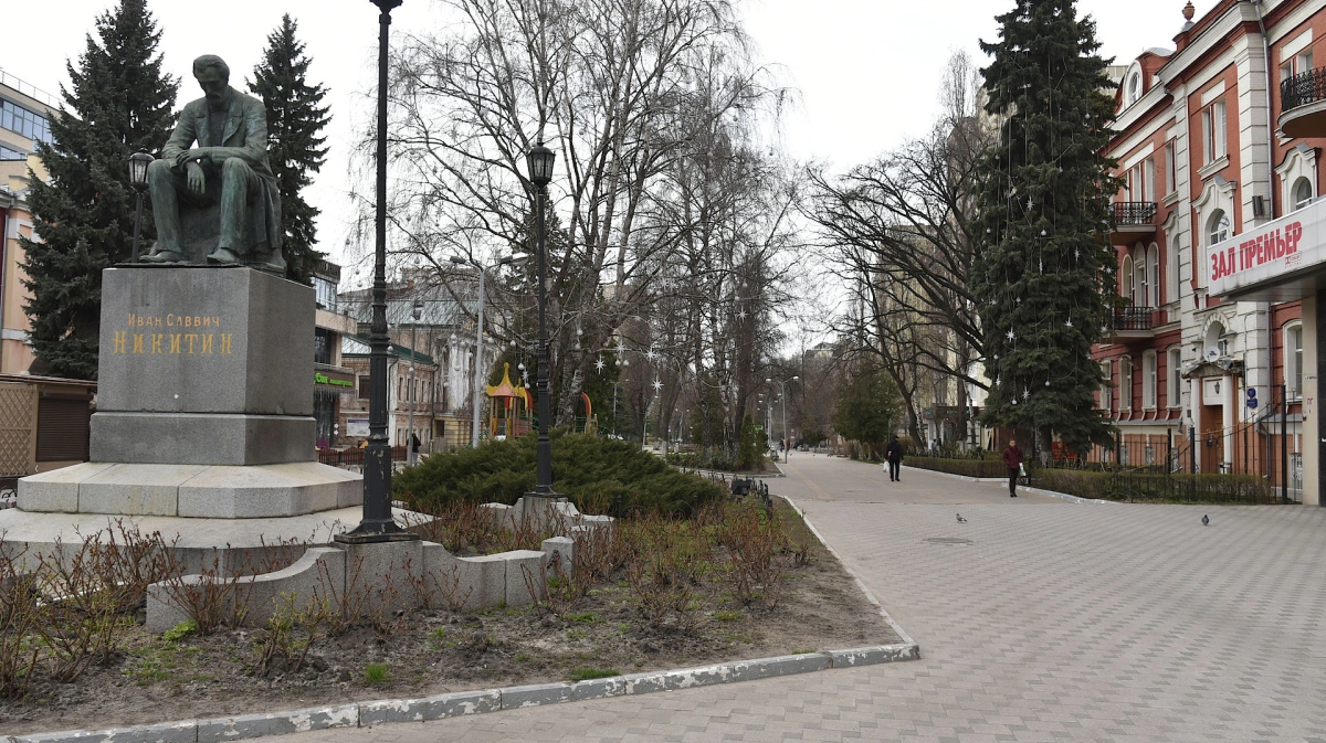 Охрана памятников. Охрана памятников Воронеж. Арскам памятники Воронеж. Воронеж Ломоносов памятник Воронеж.