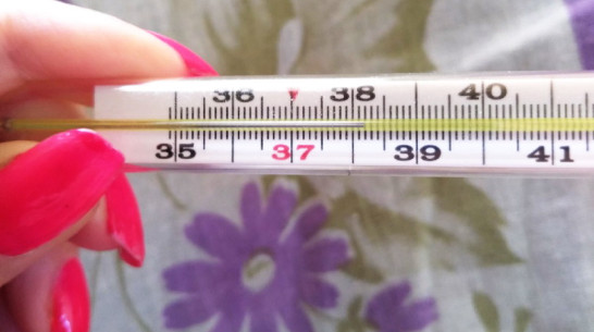 Проект РИА «Воронеж»: правда и мифы о вакцинации. Привиться или переболеть?