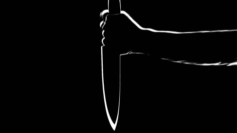 На Московском проспекте в Воронеже судимая женщина зарезала знакомого