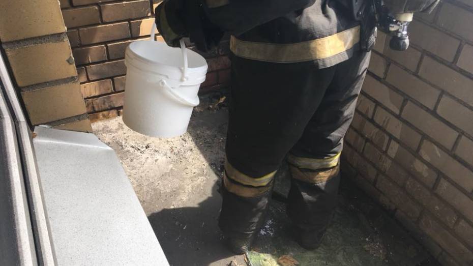 В Воронеже пожарные эвакуировали жильцов многоэтажки из-за пожара на балконе 