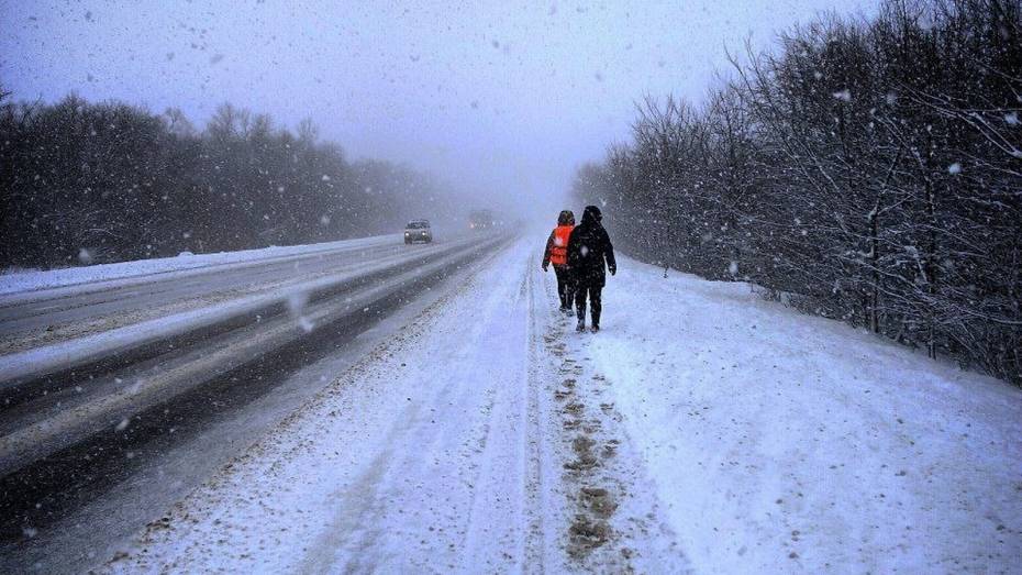 В Воронежской области за неделю 18 пропавших нашли живыми