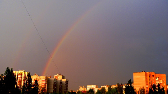 Предстоящая рабочая неделя в Воронеже будет прохладной