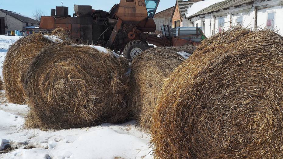 Фермеры Воронежской области за год получили 49 млн рублей в рамках нацпроекта