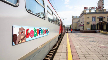 В Воронежской области назначили 6 дополнительных рейсов поезда «Бобренок»
