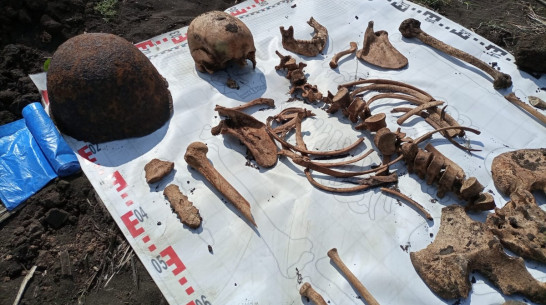 В Верхнемамонском районе поисковики нашли останки трех красноармейцев