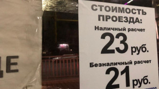 Водители устроили забастовку против дифференцированной платы за проезд в Воронеже