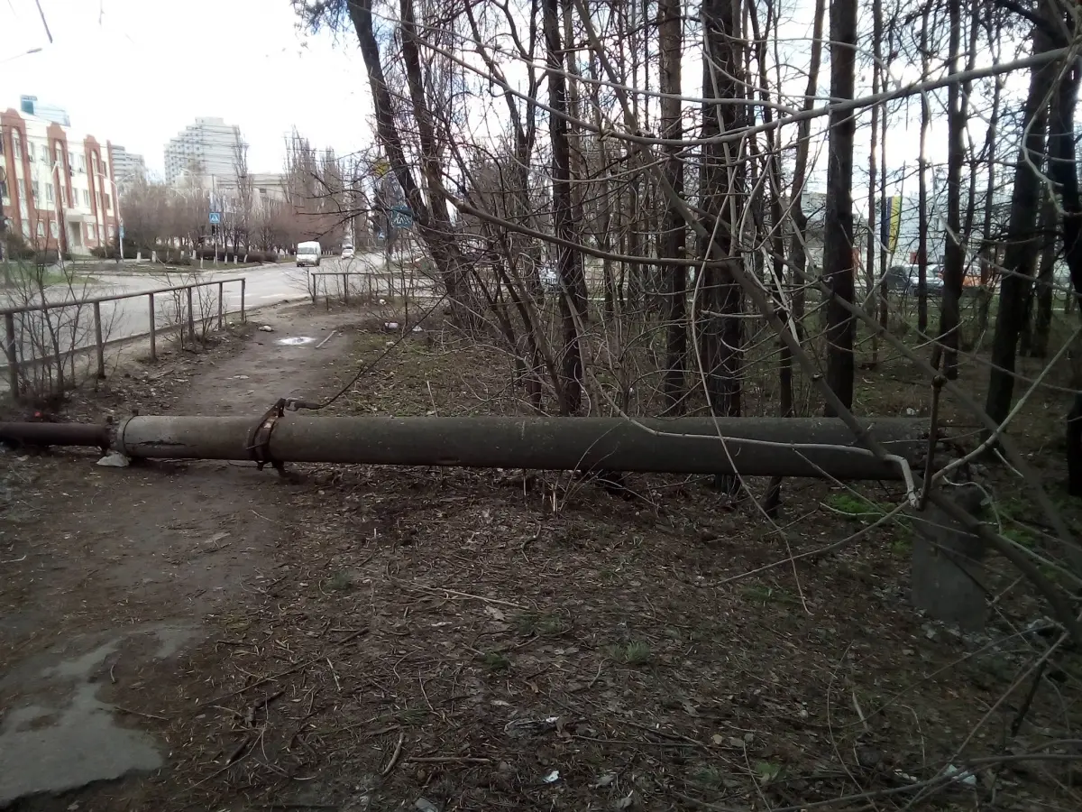 Воронежцы опубликовали фотографии поваленных столбов и деревьев после  урагана