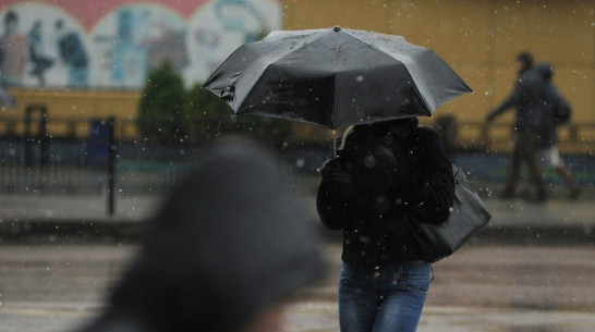 Весна в Воронежской области притормозит