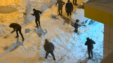 В мэрии поблагодарили воронежцев, которые сами чистили дворы