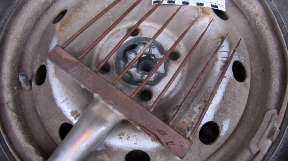 Жителя Воронежа задержали в Астраханской области за браконьерство