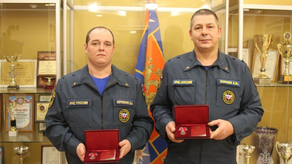 Двоих воронежских сотрудников МЧС наградили медалями «За отвагу на пожаре»