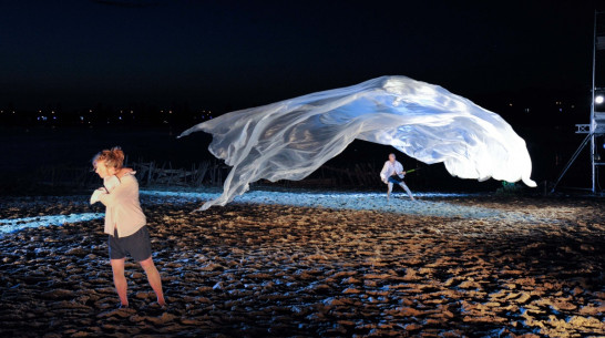 Воронежцы бросились к воде на спектакле DEREVO