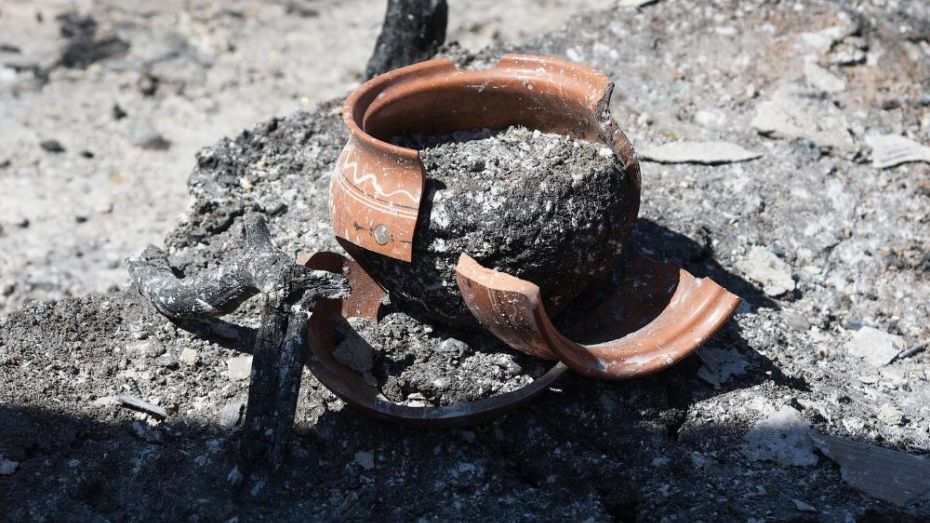 Из горящего дома в Воронежской области вынесли 2 детей: погибла женщина