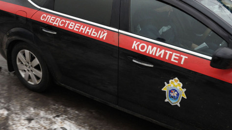 Связанный труп 17-летней девушки нашли в Воронеже в бауле рядом с мусоркой
